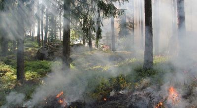 incendi incendi